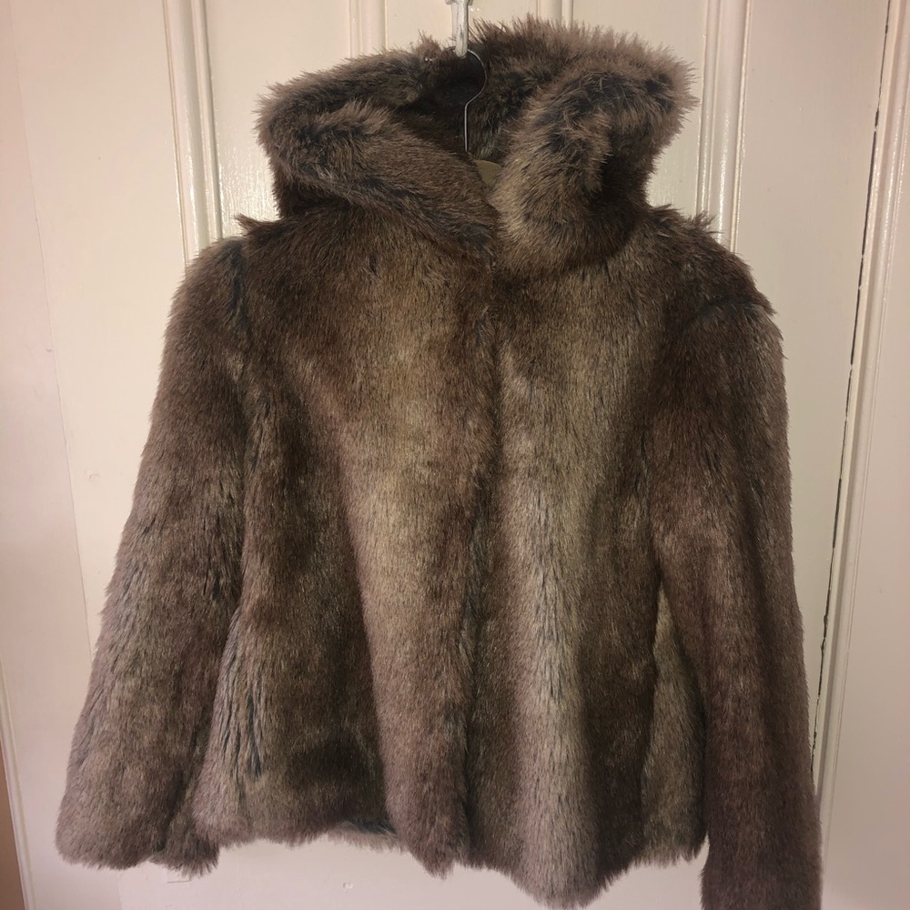 Like New- Zara Faux Fur Teddy Coat